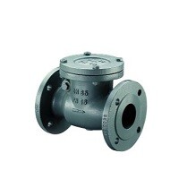 Обратный клапан Oventrop, фланцевый, PN16, Ду65, 2 1/2", чугун